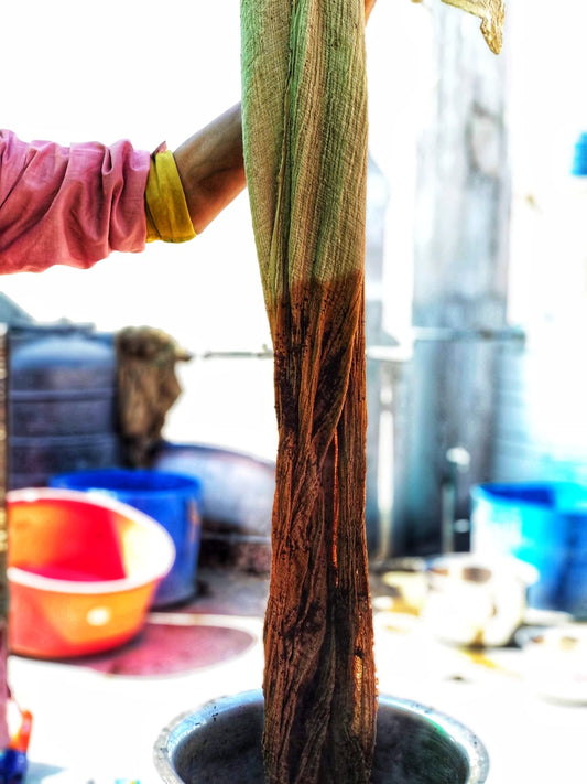 Dyary – Your Colorful Companion for Plant-Based Dyeing