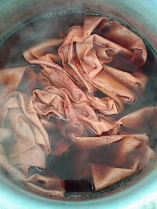 Natural Dye Workshop